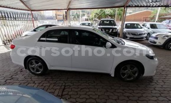 Acheter Occasion Voiture Toyota Corolla Blanc à Hlotse, Leribe Acheter Occasion Voiture Toyota Corolla Blanc à Hlotse, Leribe