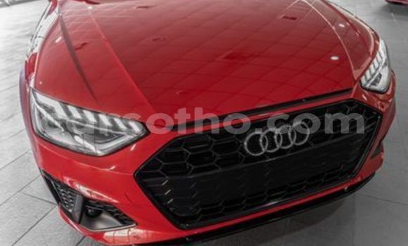 Acheter Occasion Voiture Audi A6 Rouge à Mohale's Hoek, Mohale's Hoek Acheter Occasion Voiture Audi A6 Rouge à Mohale's Hoek, Mohale's Hoek