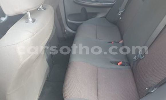 Acheter Occasion Voiture Toyota Corona Gris à Butha Buthe, Butha-Buthe Acheter Occasion Voiture Toyota Corona Gris à Butha Buthe, Butha-Buthe