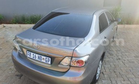 Acheter Occasion Voiture Toyota Corona Gris à Butha Buthe, Butha-Buthe Acheter Occasion Voiture Toyota Corona Gris à Butha Buthe, Butha-Buthe