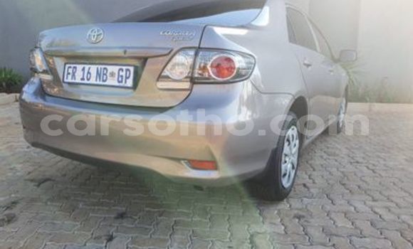 Acheter Occasion Voiture Toyota Corona Gris à Butha Buthe, Butha-Buthe Acheter Occasion Voiture Toyota Corona Gris à Butha Buthe, Butha-Buthe