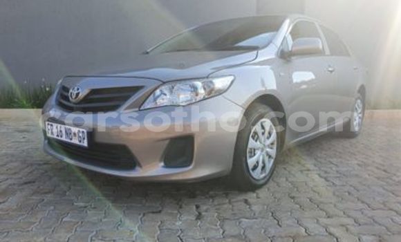 Acheter Occasion Voiture Toyota Corona Gris à Butha Buthe, Butha-Buthe Acheter Occasion Voiture Toyota Corona Gris à Butha Buthe, Butha-Buthe