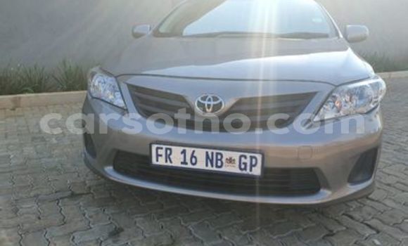 Acheter Occasion Voiture Toyota Corona Gris à Butha Buthe, Butha-Buthe Acheter Occasion Voiture Toyota Corona Gris à Butha Buthe, Butha-Buthe