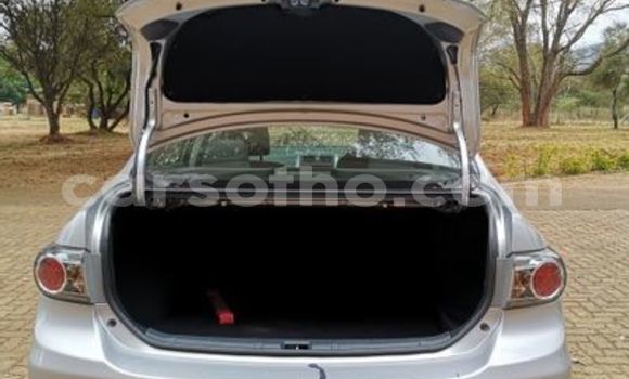 Acheter Occasion Voiture Toyota Corolla Gris à Mohale's Hoek, Mohale's Hoek Acheter Occasion Voiture Toyota Corolla Gris à Mohale's Hoek, Mohale's Hoek