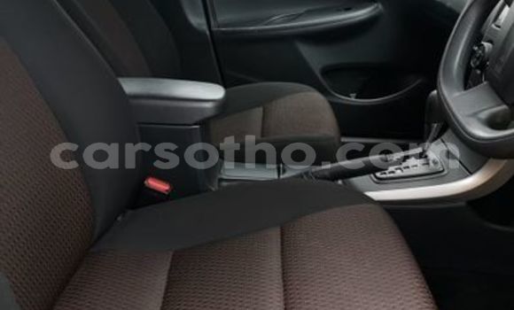 Acheter Occasion Voiture Toyota Corolla Gris à Mohale's Hoek, Mohale's Hoek Acheter Occasion Voiture Toyota Corolla Gris à Mohale's Hoek, Mohale's Hoek