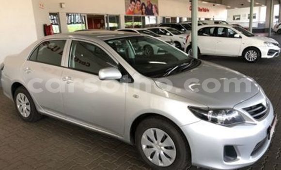 Acheter Occasion Voiture Toyota Corolla Gris à Mohale's Hoek, Mohale's Hoek Acheter Occasion Voiture Toyota Corolla Gris à Mohale's Hoek, Mohale's Hoek