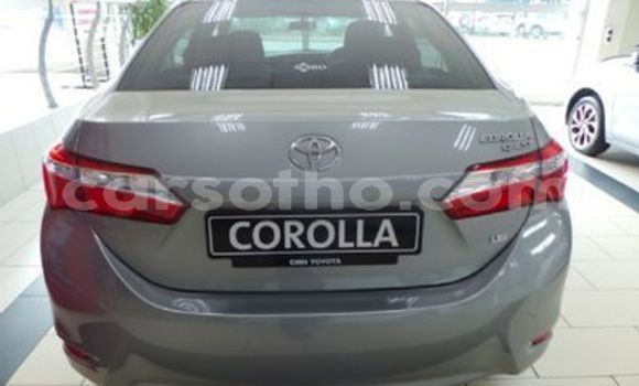 Sayi Na hannu Toyota Corolla Silver Mota in Maseru a Maseru Sayi Na hannu Toyota Corolla Silver Mota in Maseru a Maseru