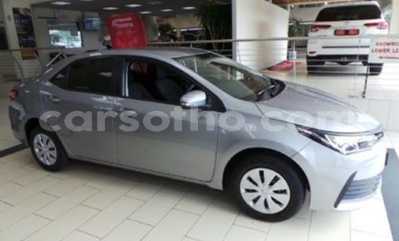 Sayi Na hannu Toyota Corolla Silver Mota in Maseru a Maseru Sayi Na hannu Toyota Corolla Silver Mota in Maseru a Maseru