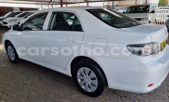 Sayi Na hannu Toyota Corolla White Mota in Butha–Buthe a Thaba-Tseka Sayi Na hannu Toyota Corolla White Mota in Butha–Buthe a Thaba-Tseka