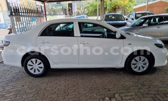 Sayi Na hannu Toyota Corolla White Mota in Butha–Buthe a Thaba-Tseka Sayi Na hannu Toyota Corolla White Mota in Butha–Buthe a Thaba-Tseka