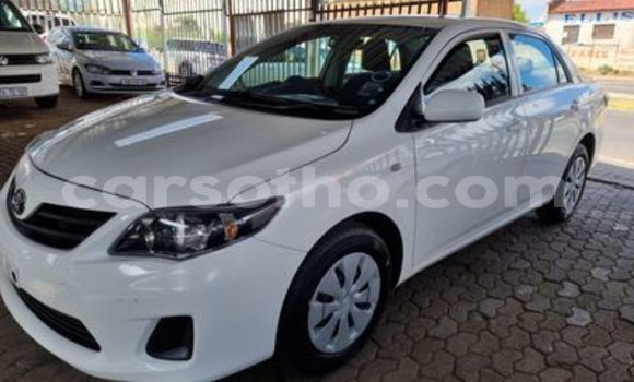 Sayi Na hannu Toyota Corolla White Mota in Butha–Buthe a Thaba-Tseka Sayi Na hannu Toyota Corolla White Mota in Butha–Buthe a Thaba-Tseka