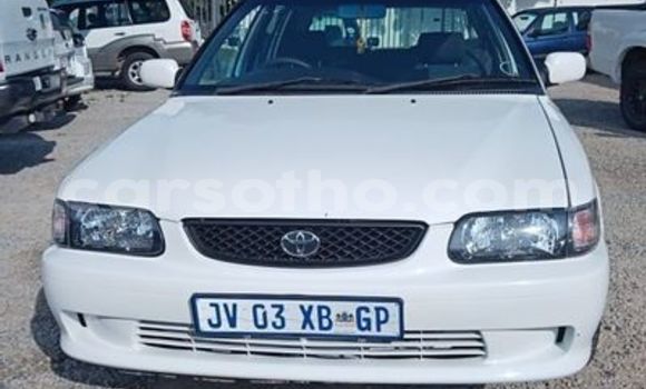 Acheter Occasion Voiture Toyota Blizzard Blanc à Maputsoe, Leribe Acheter Occasion Voiture Toyota Blizzard Blanc à Maputsoe, Leribe
