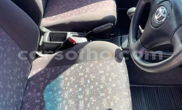 Acheter Occasion Voiture Toyota Blizzard Gris à Maputsoe, Leribe Acheter Occasion Voiture Toyota Blizzard Gris à Maputsoe, Leribe