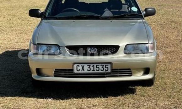 Acheter Occasion Voiture Toyota Blizzard Gris à Maputsoe, Leribe Acheter Occasion Voiture Toyota Blizzard Gris à Maputsoe, Leribe