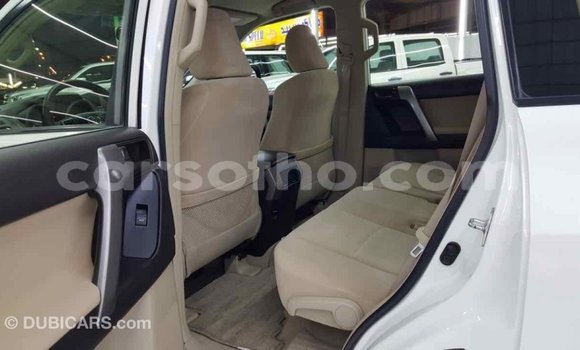 Acheter Import Voiture Toyota Prado Blanc à Import - Dubai, Maseru Acheter Import Voiture Toyota Prado Blanc à Import - Dubai, Maseru