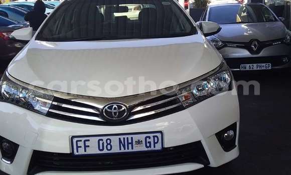 Buy Used Toyota Corolla White Car in Maseru in Maseru Buy Used Toyota Corolla White Car in Maseru in Maseru
