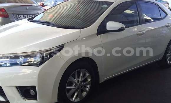 Buy Used Toyota Corolla White Car in Maseru in Maseru Buy Used Toyota Corolla White Car in Maseru in Maseru