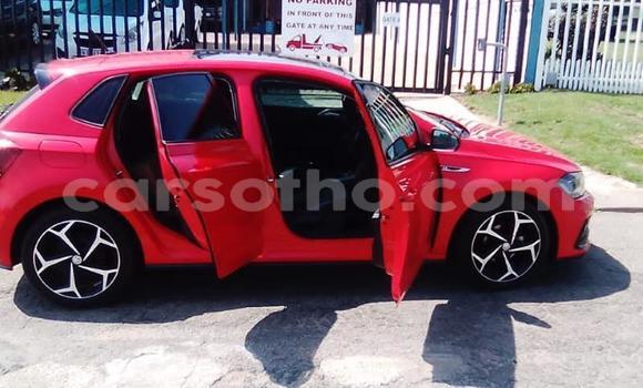 Sayi Na hannu Volkswagen Polo Red Mota in Butha Buthe a Butha-Buthe Sayi Na hannu Volkswagen Polo Red Mota in Butha Buthe a Butha-Buthe