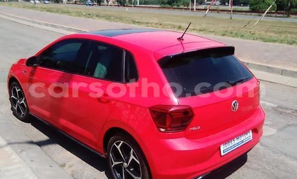 Sayi Na hannu Volkswagen Polo Red Mota in Butha Buthe a Butha-Buthe Sayi Na hannu Volkswagen Polo Red Mota in Butha Buthe a Butha-Buthe