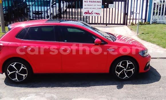 Sayi Na hannu Volkswagen Polo Red Mota in Butha Buthe a Butha-Buthe Sayi Na hannu Volkswagen Polo Red Mota in Butha Buthe a Butha-Buthe