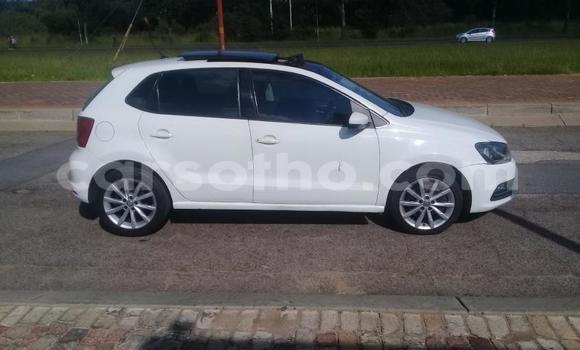 اشتري مستعمل Volkswagen Polo White سيارة في Hlotse في Leribe اشتري مستعمل Volkswagen Polo White سيارة في Hlotse في Leribe