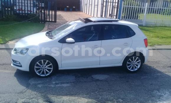 اشتري مستعمل Volkswagen Polo White سيارة في Hlotse في Leribe اشتري مستعمل Volkswagen Polo White سيارة في Hlotse في Leribe