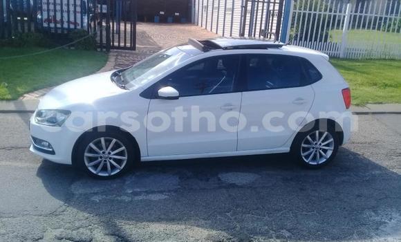 اشتري مستعمل Volkswagen Polo White سيارة في Hlotse في Leribe اشتري مستعمل Volkswagen Polo White سيارة في Hlotse في Leribe