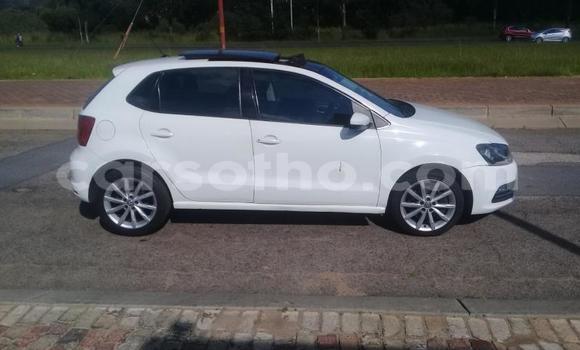 اشتري مستعمل Volkswagen Polo White سيارة في Hlotse في Leribe اشتري مستعمل Volkswagen Polo White سيارة في Hlotse في Leribe