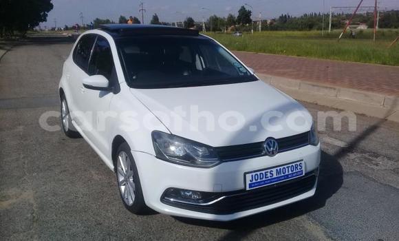 اشتري مستعمل Volkswagen Polo White سيارة في Hlotse في Leribe اشتري مستعمل Volkswagen Polo White سيارة في Hlotse في Leribe