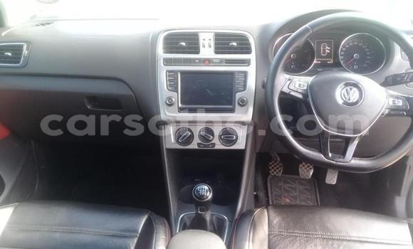 اشتري مستعمل Volkswagen Polo White سيارة في Hlotse في Leribe اشتري مستعمل Volkswagen Polo White سيارة في Hlotse في Leribe