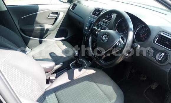 اشتري مستعمل Volkswagen Polo Other سيارة في Butha Buthe في Butha-Buthe اشتري مستعمل Volkswagen Polo Other سيارة في Butha Buthe في Butha-Buthe