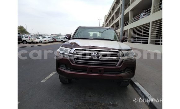 اشتري Imported Toyota Land Cruiser Brown سيارة في Import - Dubai في Maseru اشتري Imported Toyota Land Cruiser Brown سيارة في Import - Dubai في Maseru