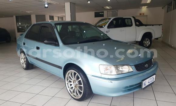 اشتري مستعمل Toyota Corolla Blue سيارة في Butha–Buthe في Thaba-Tseka اشتري مستعمل Toyota Corolla Blue سيارة في Butha–Buthe في Thaba-Tseka