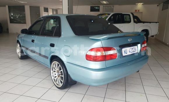 اشتري مستعمل Toyota Corolla Blue سيارة في Butha–Buthe في Thaba-Tseka اشتري مستعمل Toyota Corolla Blue سيارة في Butha–Buthe في Thaba-Tseka