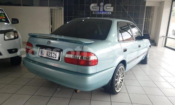 اشتري مستعمل Toyota Corolla Blue سيارة في Butha–Buthe في Thaba-Tseka اشتري مستعمل Toyota Corolla Blue سيارة في Butha–Buthe في Thaba-Tseka