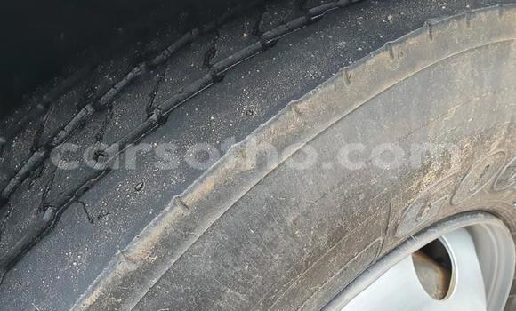 اشتري مستعمل Nissan UD White شاحنة في Hlotse في Leribe اشتري مستعمل Nissan UD White شاحنة في Hlotse في Leribe