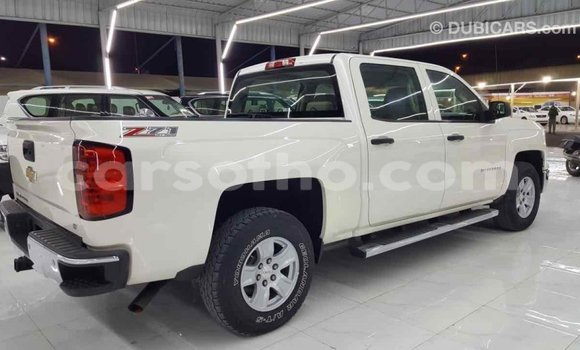 Acheter Import Voiture Chevrolet Silverado Blanc à Import - Dubai, Maseru Acheter Import Voiture Chevrolet Silverado Blanc à Import - Dubai, Maseru