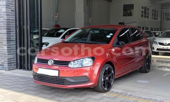 Buy Used Volkswagen Polo Red Car in Maseru in Maseru Buy Used Volkswagen Polo Red Car in Maseru in Maseru