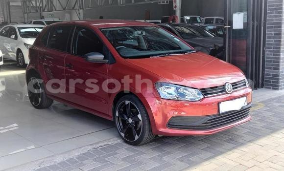 Buy Used Volkswagen Polo Red Car in Maseru in Maseru Buy Used Volkswagen Polo Red Car in Maseru in Maseru
