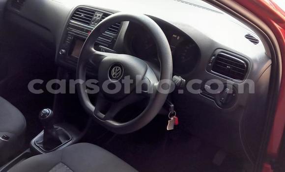 Buy Used Volkswagen Polo Red Car in Maseru in Maseru Buy Used Volkswagen Polo Red Car in Maseru in Maseru