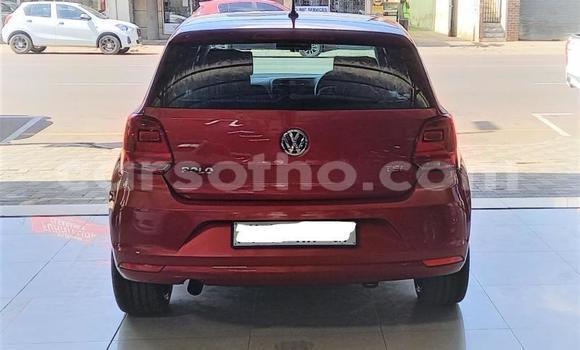 Buy Used Volkswagen Polo Red Car in Maseru in Maseru Buy Used Volkswagen Polo Red Car in Maseru in Maseru