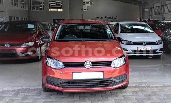 Buy Used Volkswagen Polo Red Car in Maseru in Maseru Buy Used Volkswagen Polo Red Car in Maseru in Maseru