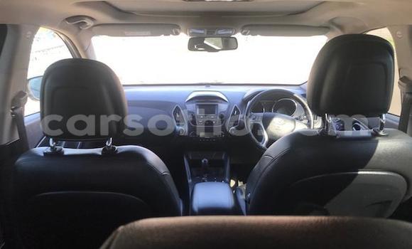 اشتري مستعمل Hyundai ix35 Silver سيارة في Maseru في Maseru اشتري مستعمل Hyundai ix35 Silver سيارة في Maseru في Maseru