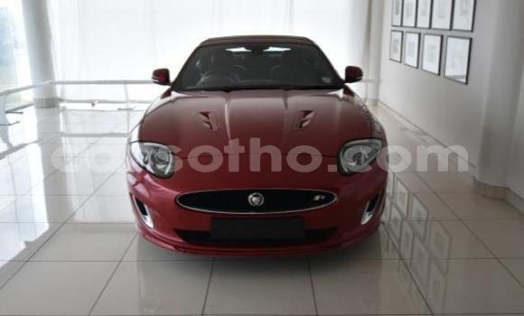 اشتري مستعمل Jaguar X–Type Red سيارة في Maseru في Maseru اشتري مستعمل Jaguar X–Type Red سيارة في Maseru في Maseru
