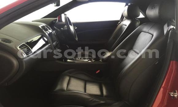 اشتري مستعمل Jaguar X–Type Red سيارة في Maseru في Maseru اشتري مستعمل Jaguar X–Type Red سيارة في Maseru في Maseru