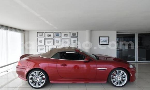 اشتري مستعمل Jaguar X–Type Red سيارة في Maseru في Maseru اشتري مستعمل Jaguar X–Type Red سيارة في Maseru في Maseru