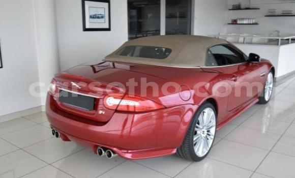اشتري مستعمل Jaguar X–Type Red سيارة في Maseru في Maseru اشتري مستعمل Jaguar X–Type Red سيارة في Maseru في Maseru