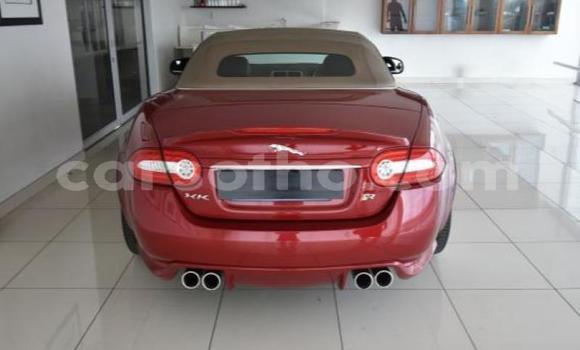 اشتري مستعمل Jaguar X–Type Red سيارة في Maseru في Maseru اشتري مستعمل Jaguar X–Type Red سيارة في Maseru في Maseru