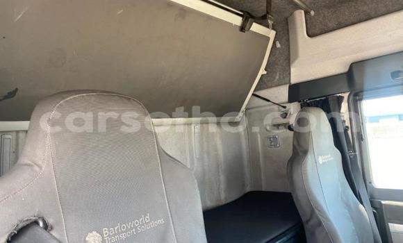 اشتري مستعمل Man Silent White شاحنة في Butha–Buthe في Thaba-Tseka اشتري مستعمل Man Silent White شاحنة في Butha–Buthe في Thaba-Tseka