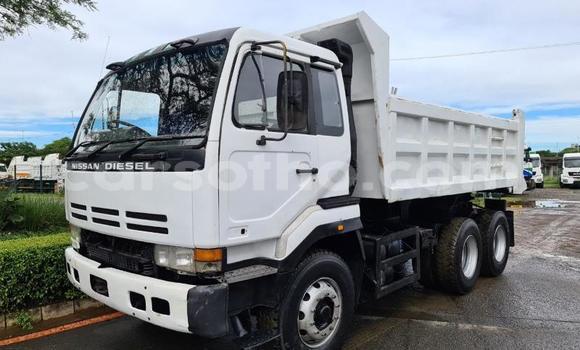 Sayi Na hannu Nissan UD White Babbar mota in Butha–Buthe a Thaba-Tseka Sayi Na hannu Nissan UD White Babbar mota in Butha–Buthe a Thaba-Tseka